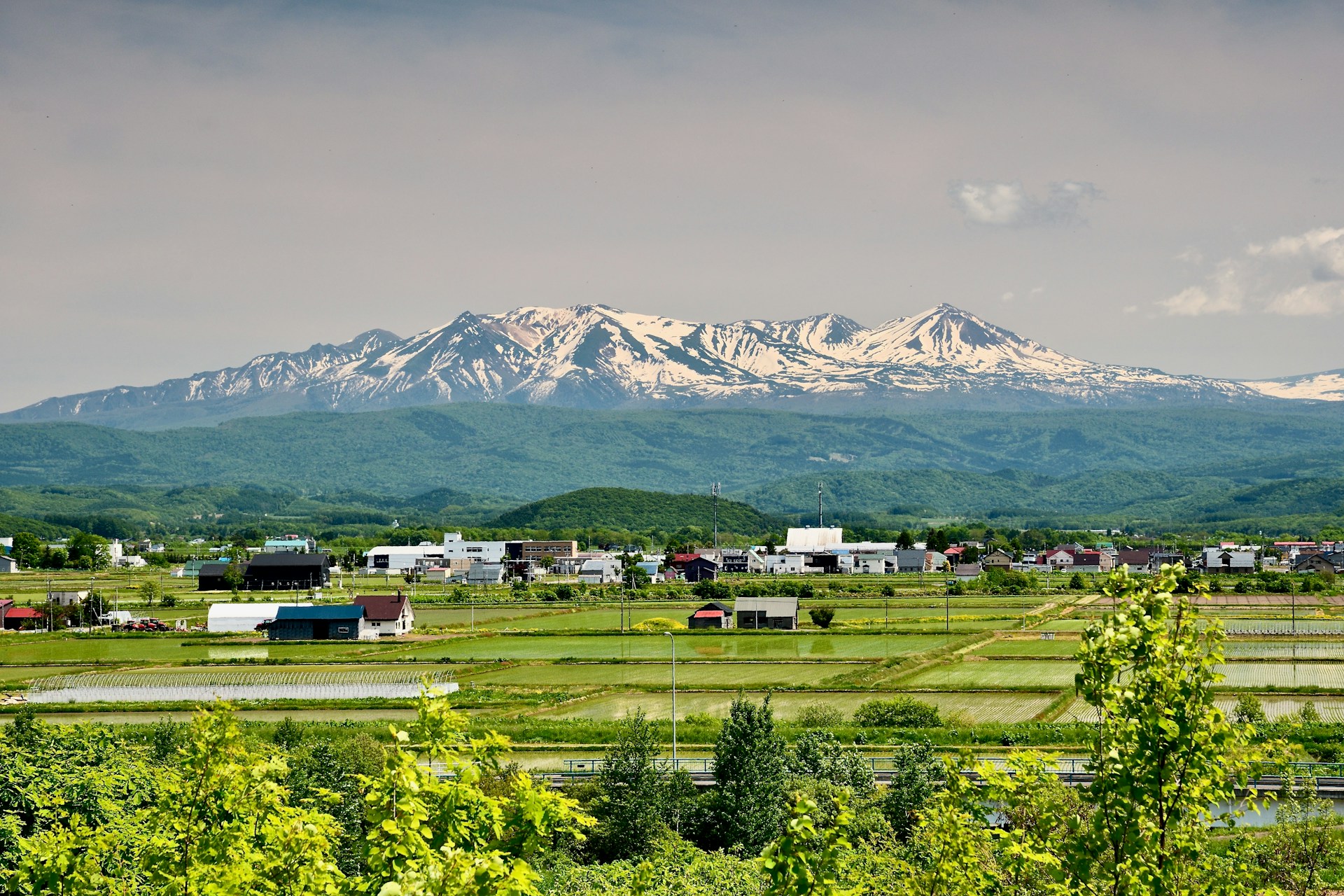 Best Prefectures for Foreign Buyers Looking for Quiet