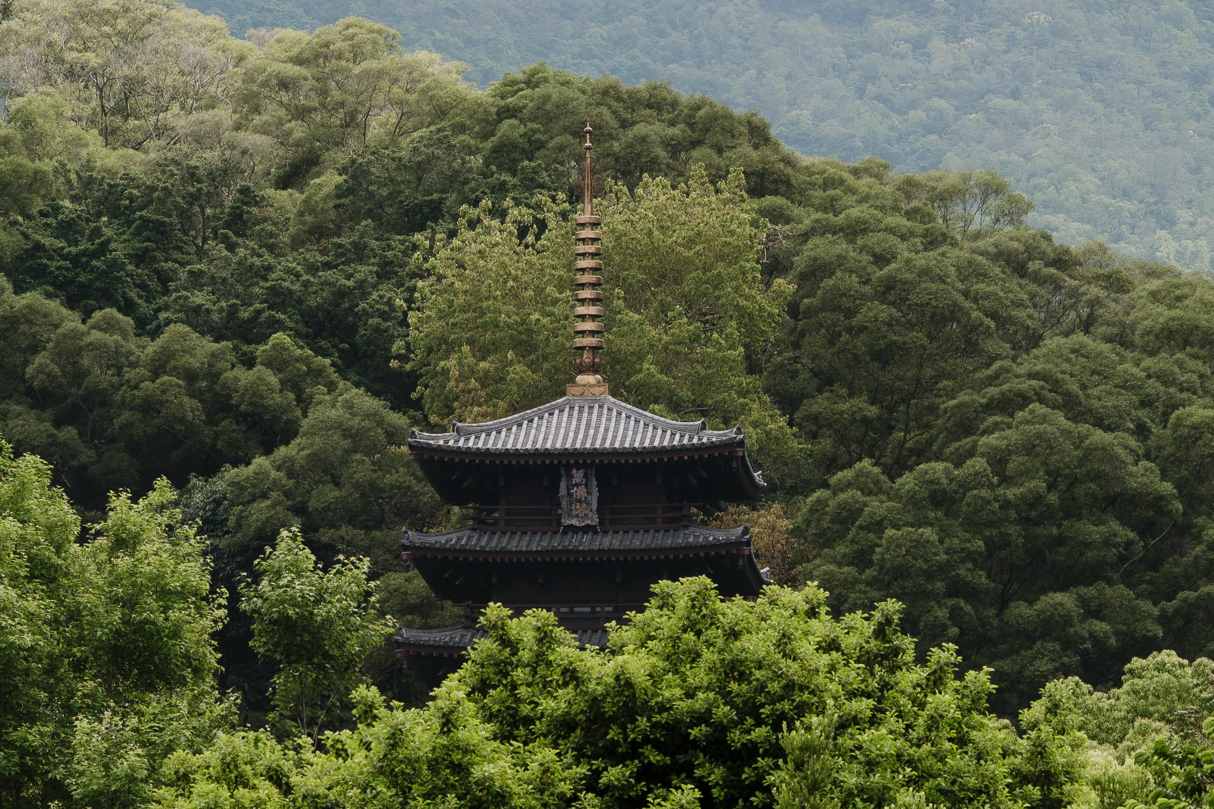 Where to Buy an Akiya Near a Famous Temple or Shrine