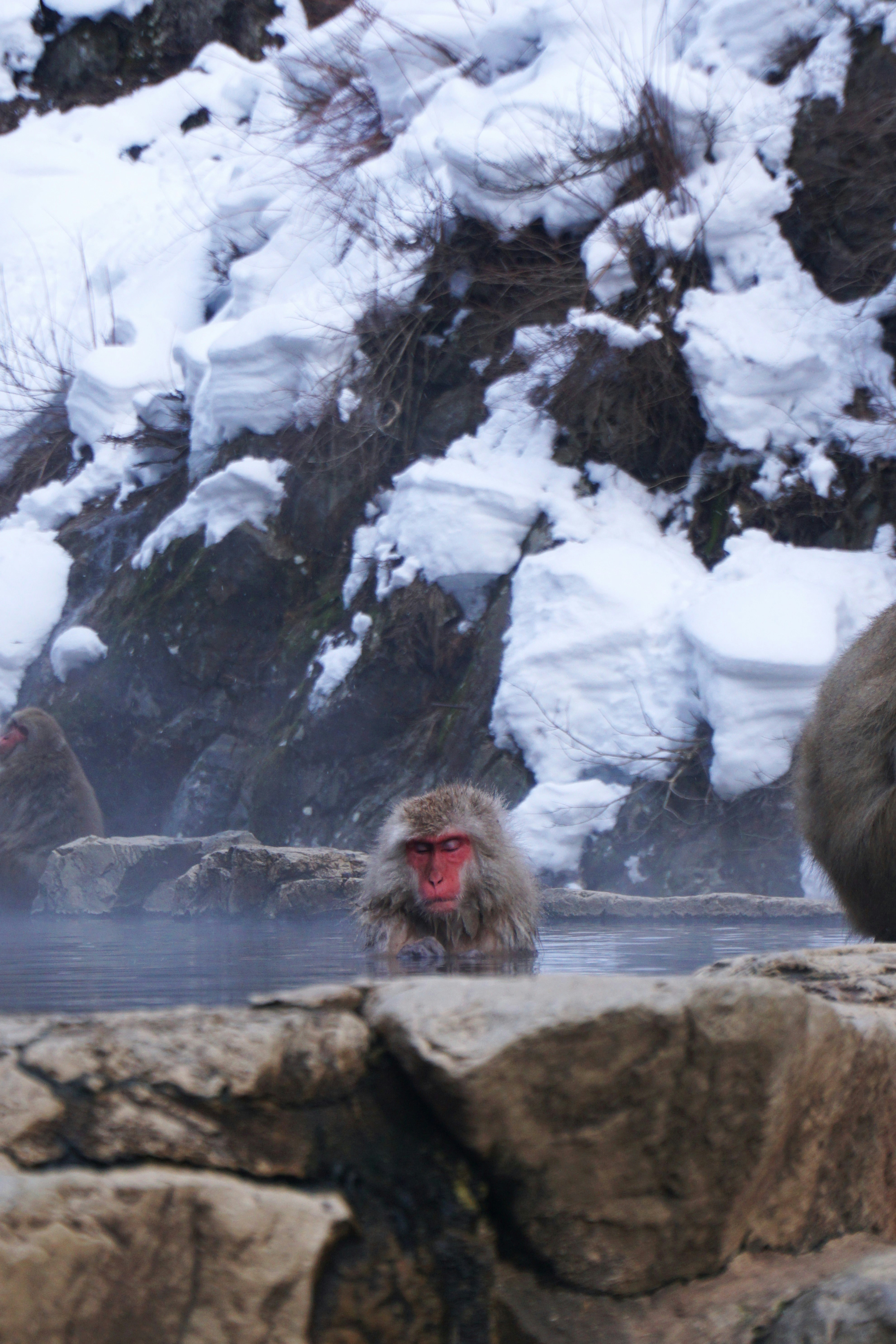 Buying in a Hot Spring (Onsen) Town: Good Idea or Bad?