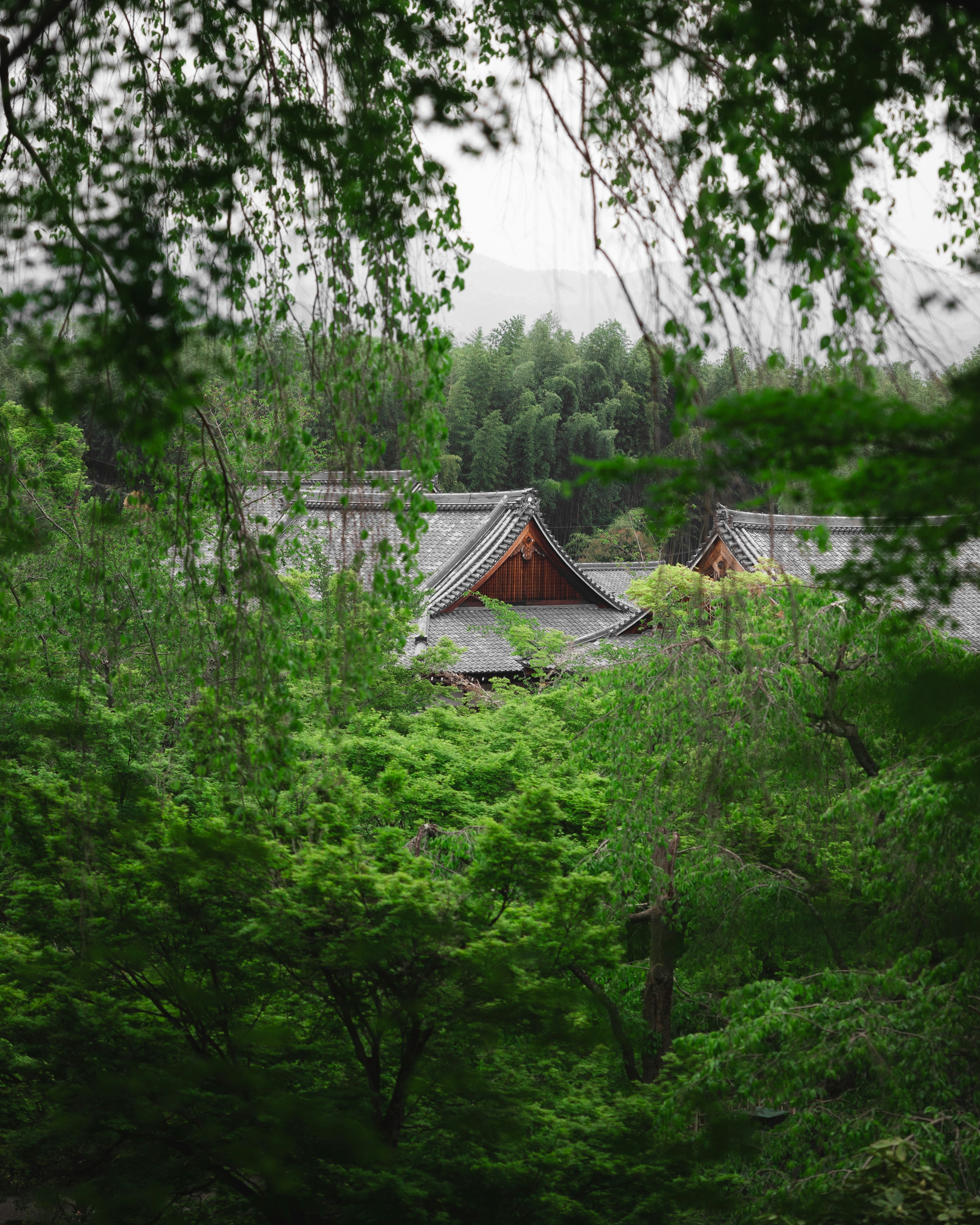 What It's Like to Live in a 100-Year-Old Japanese House