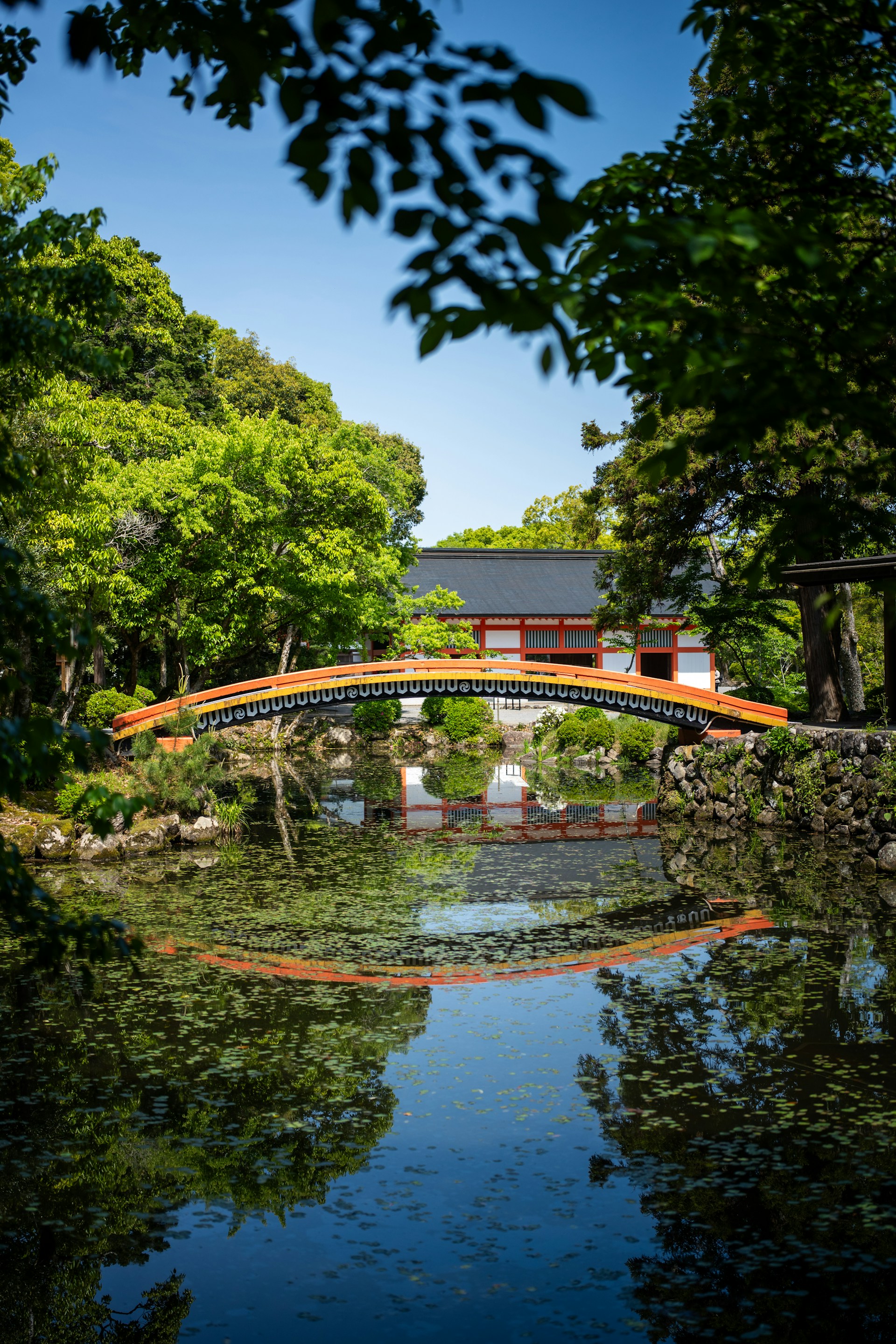 How to Start a Vegetable Garden in Rural Japan