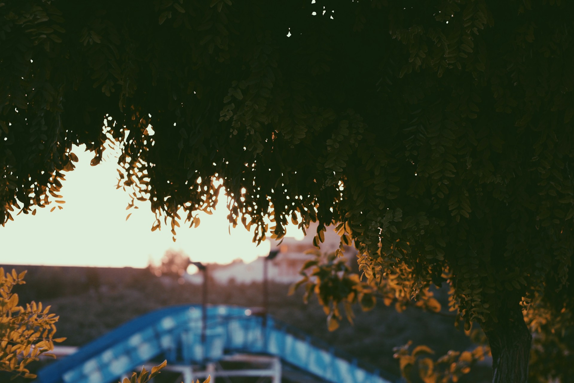 Imari
