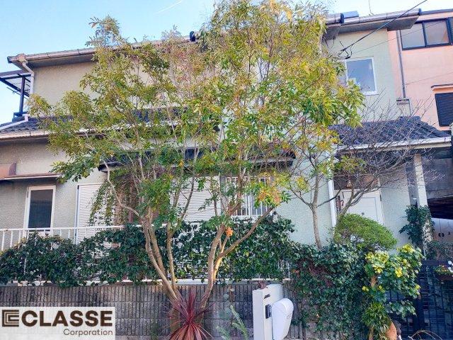 Your dream akiya awaits in Kyoto — explore this 4DK gem. Featuring 1077 sqft of living space and priced around $56000. Let Old Houses Japan help you find and restore your dream akiya — a unique opportunity to own a slice of rural Japan.