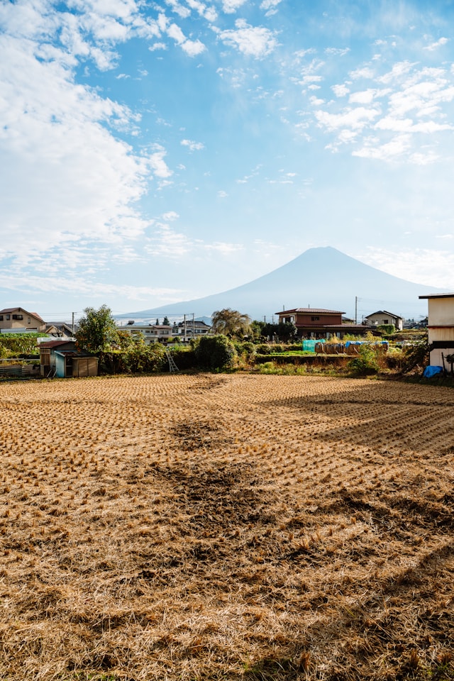 How to Build a Japanese Real Estate Portfolio from Overseas