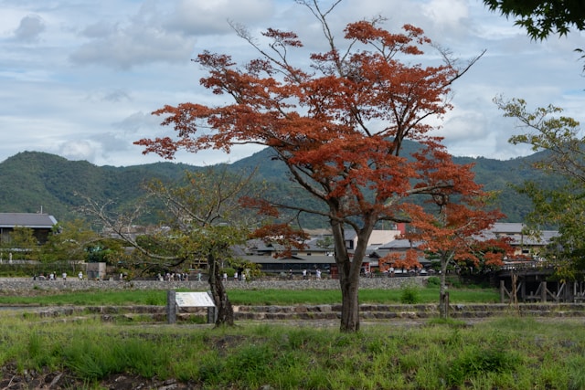Turning Your Akiya Into a Remote Work Retreat