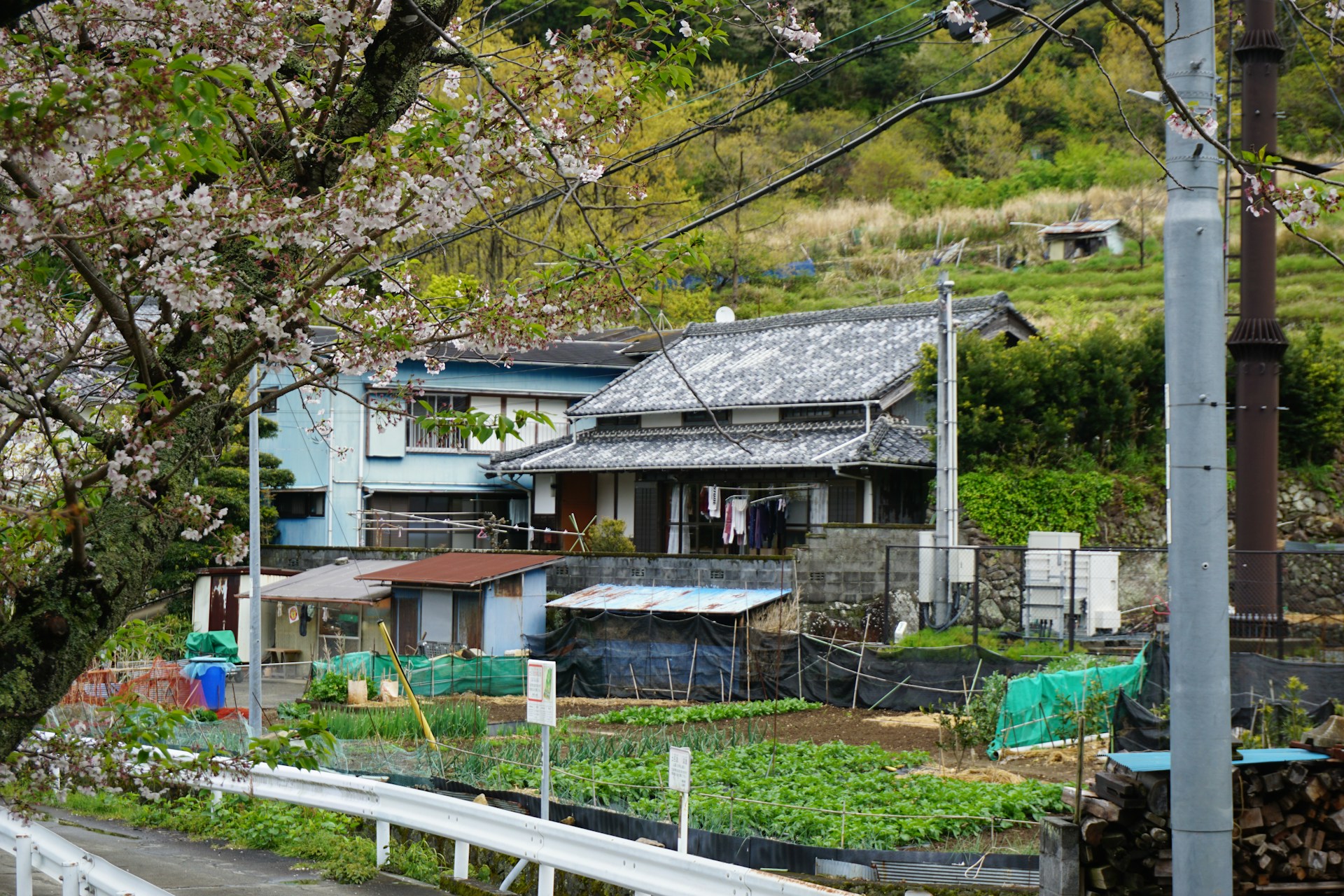 Best Tools for Managing a Japanese Property From Abroad