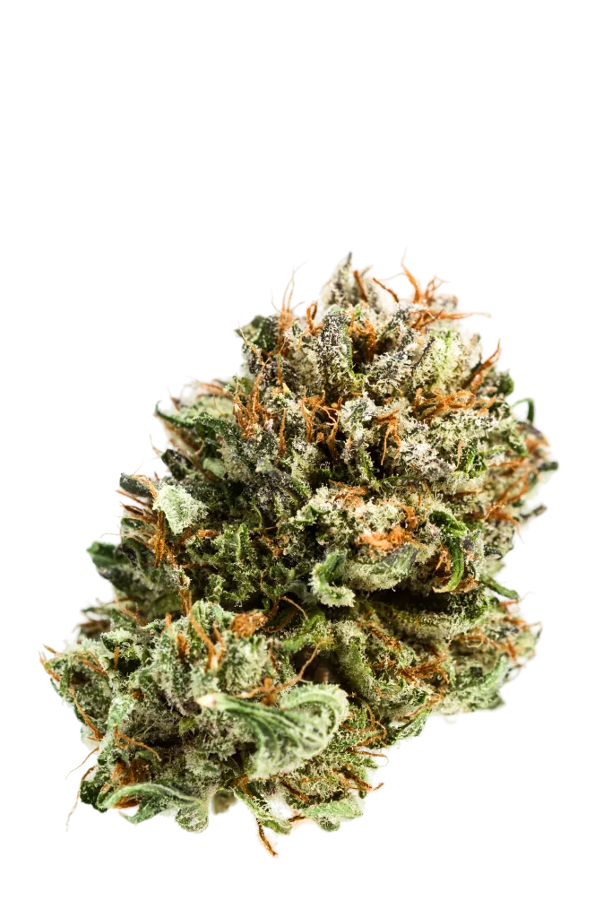Medizinische Cannabisblüte