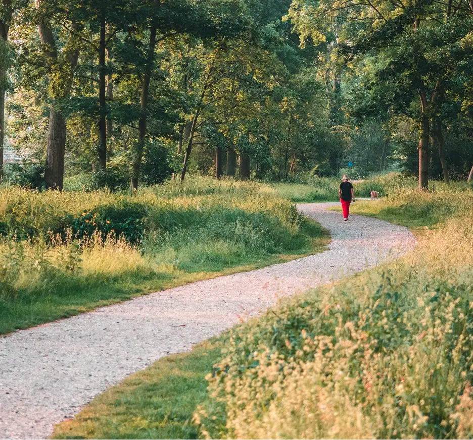 Person spaziert auf einem Kiesweg durch einen sonnigen Park