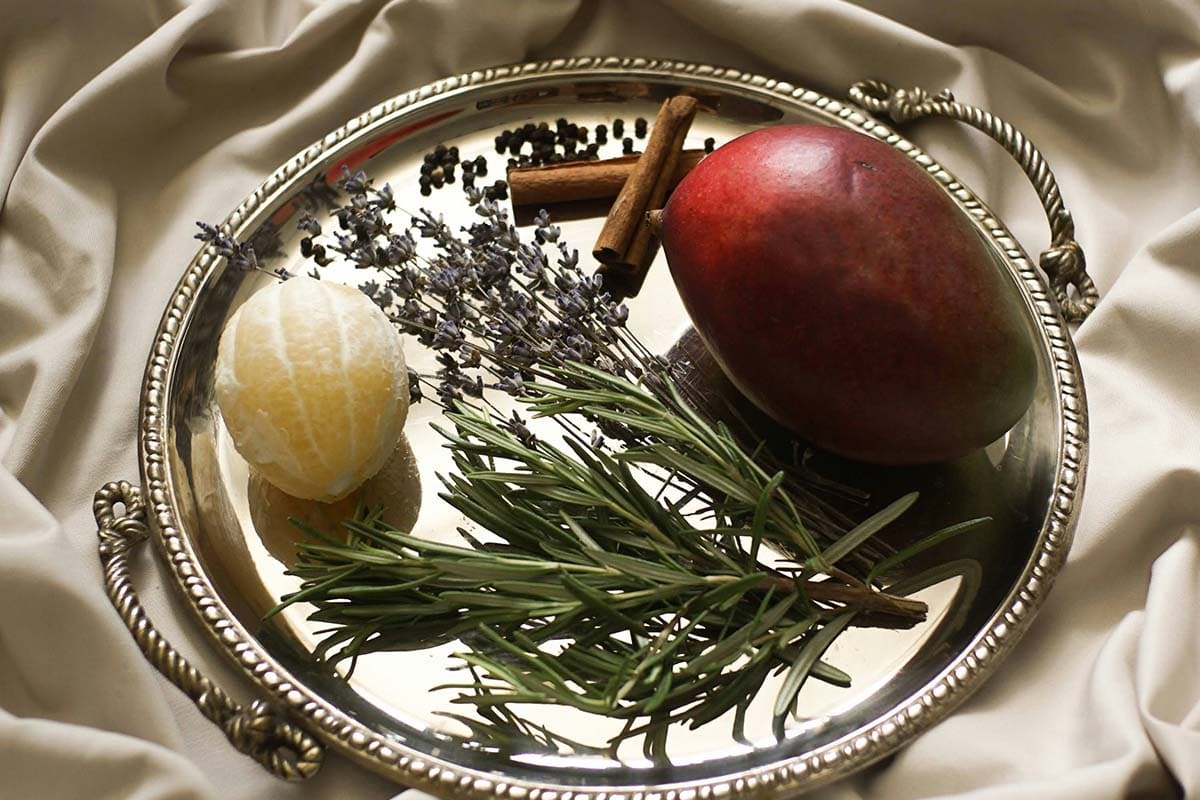 Die Welt der Cannabis Terpene: So beeinflussen sie Geschmack und Wirkung