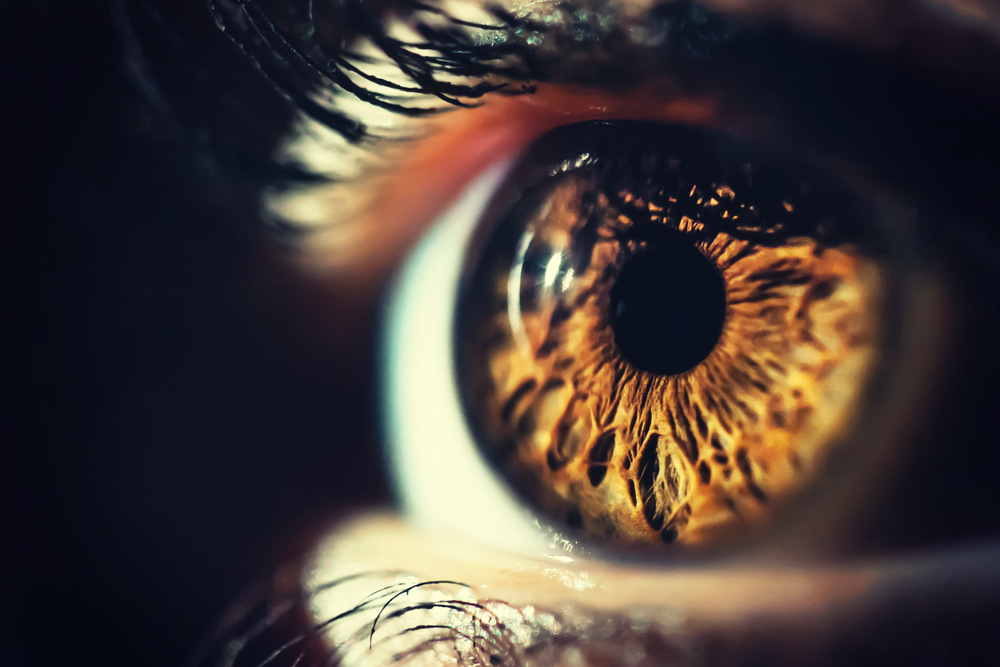 Close-up of a brown eye showing detailed iris texture and surrounding eyelashes.
