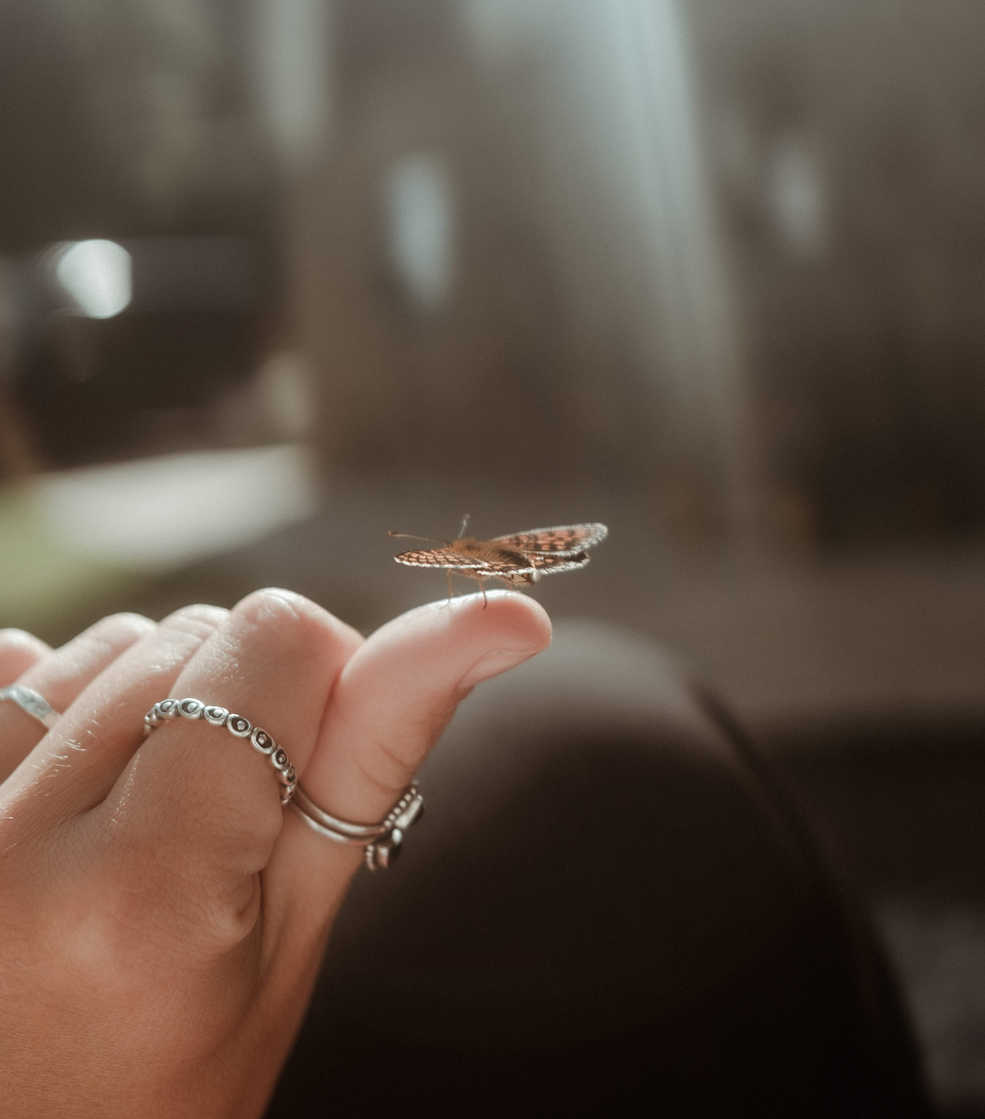 view of retreat garden from inside barn