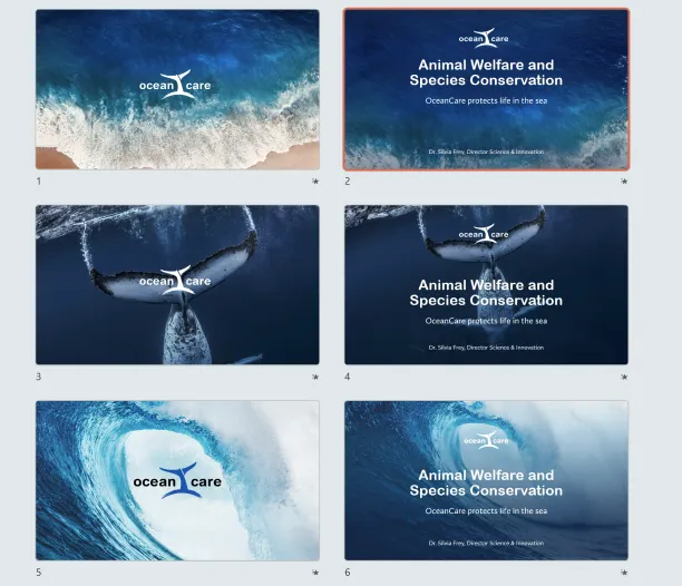 Sechs Folien mit OceanCare-Logo und Bildern von Ozeanwellen und Walflossen, mit Titel zur Tierwohlfahrt und Artenschutz im Meer.