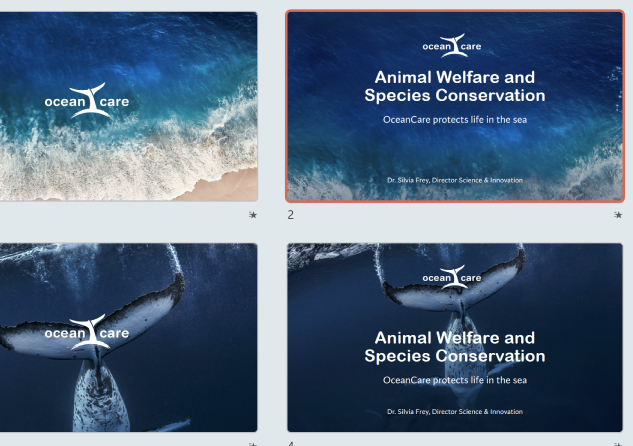 Vier Präsentationsfolien mit dem Thema Tierschutz und Artenschutz von OceanCare, mit Meeresansichten und Walbildern.