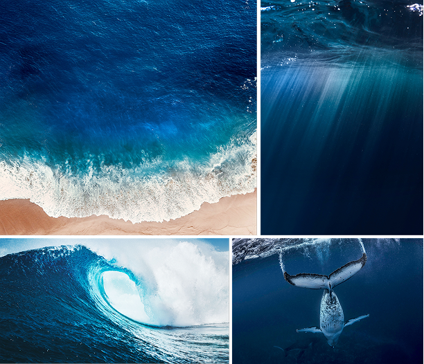 Vierteilige Collage mit Bildern von blauem Ozean: Wellen an sandigem Strand, Lichtstrahlen unter Wasser, brechende Welle und einer auf den Kopf stehenden Walflosse unter Wasser.