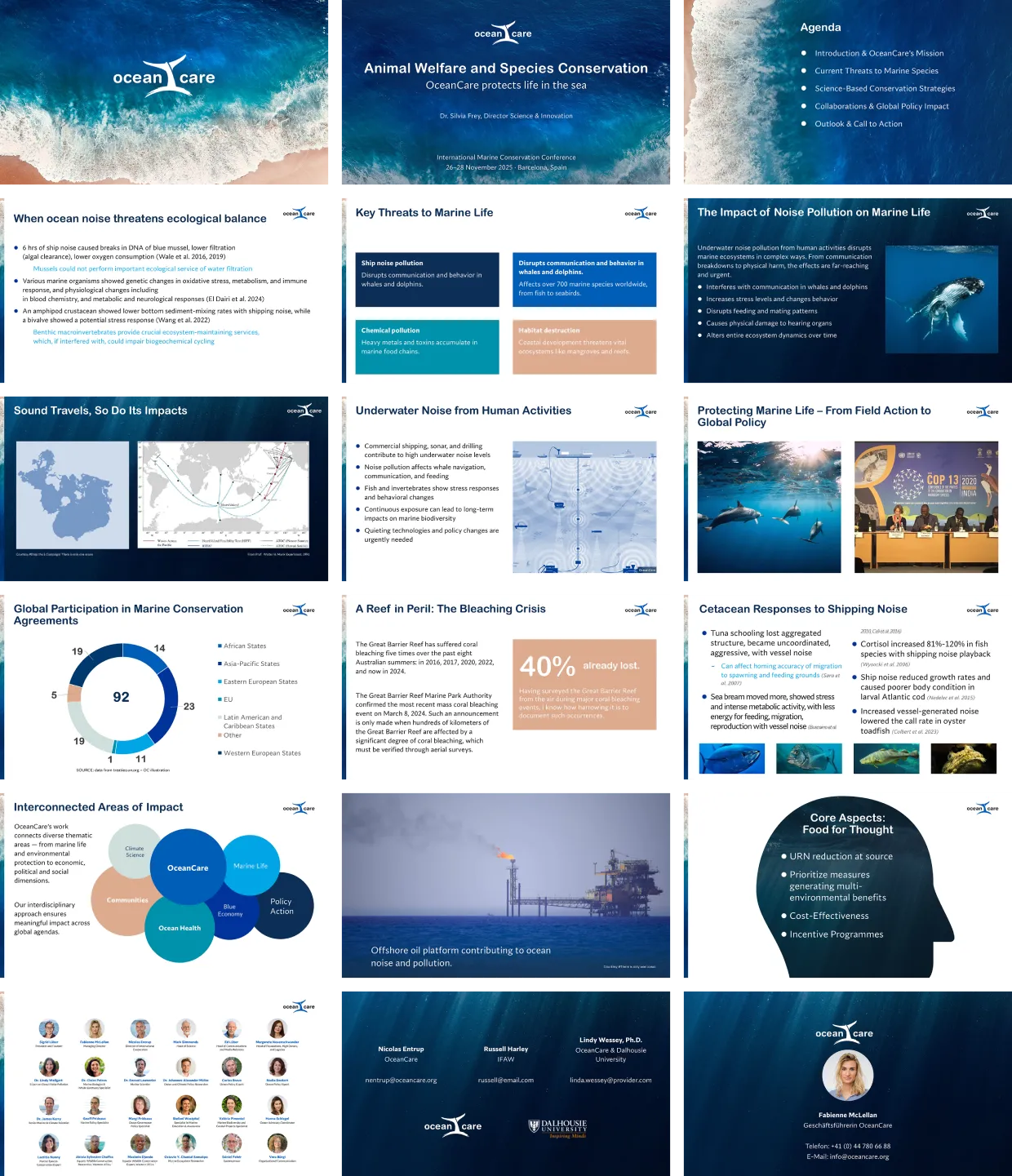 Präsentationsfolien der OceanCare-Konferenz zu Meeresschutz und Lärmbelastung mit Grafiken, Karten, Diagrammen und Bildern von Meereslebewesen.