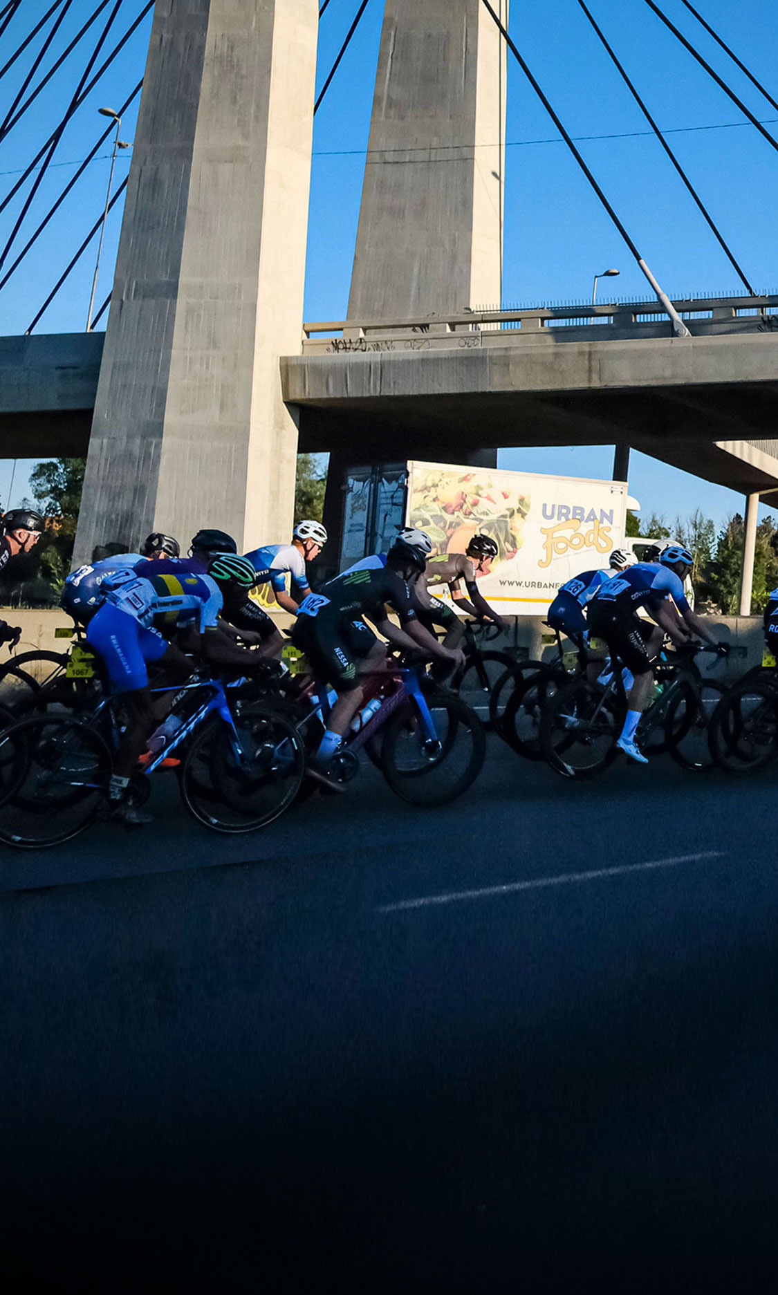 retreat &restore at farm sanctuary