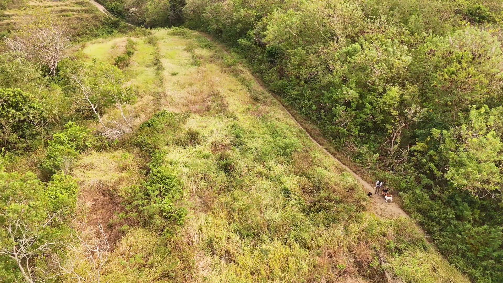 Onbebouwd terrein op Bali voor aanvang van de ontwikkeling