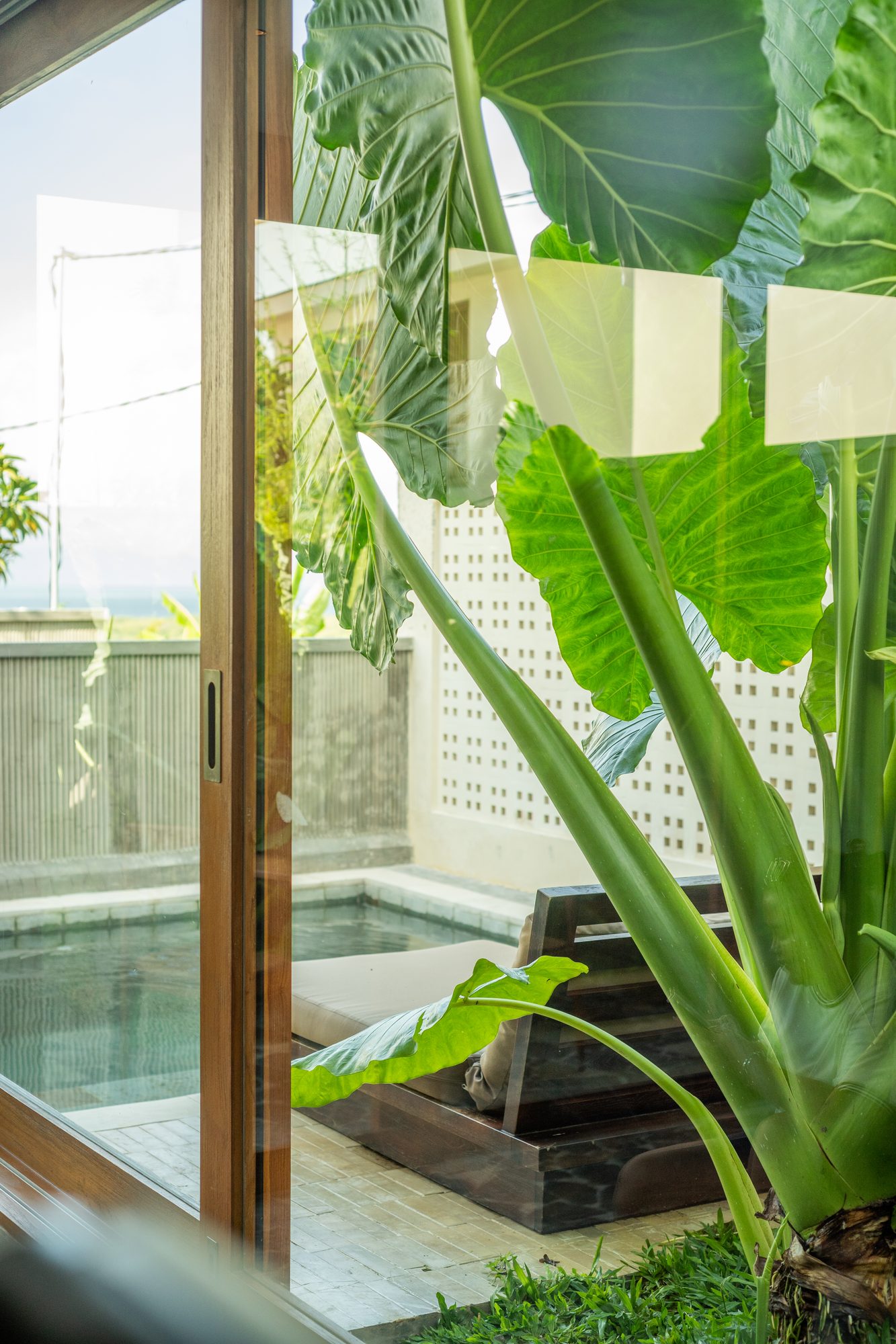 Zwembad met tropische beplanting
