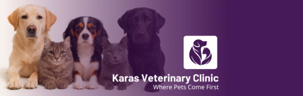 Karas Clinic banner
