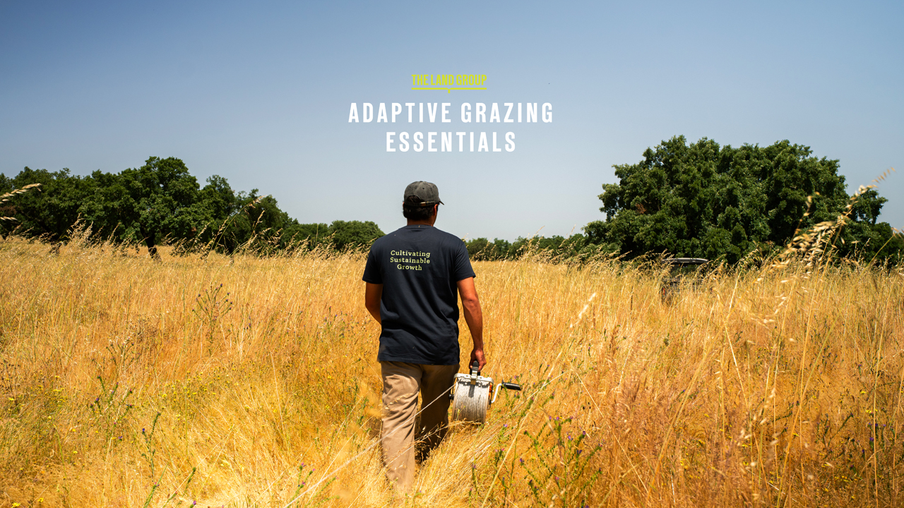 adaptive-grazing-essentials