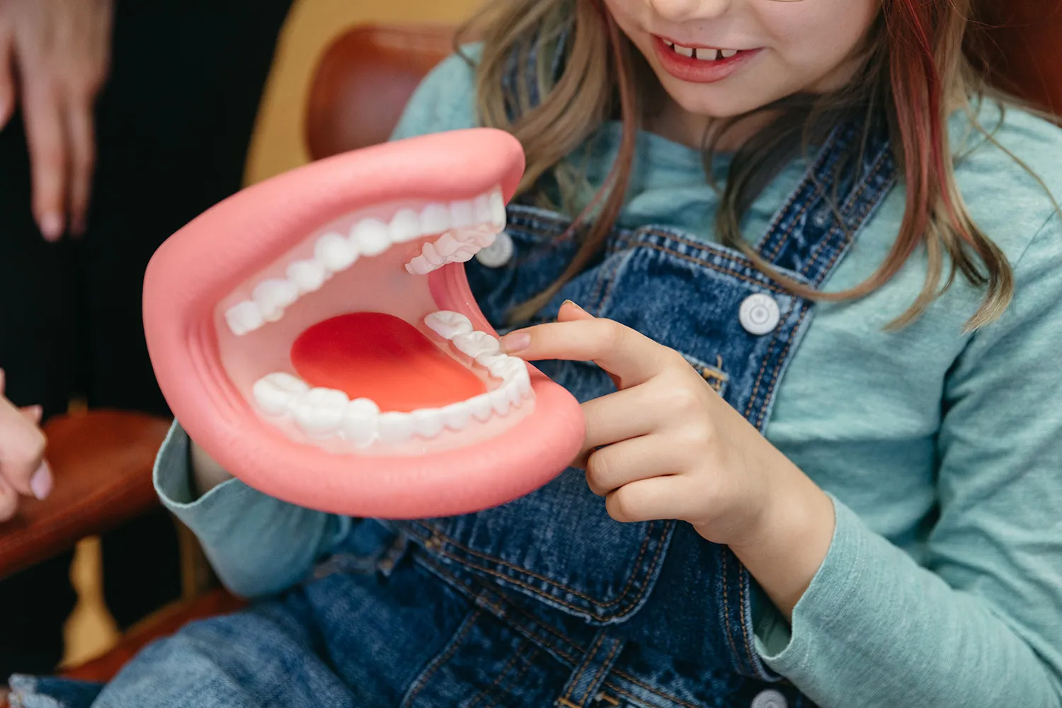 A patient viewing a model of teeth