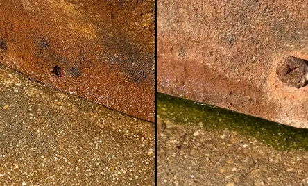 Pool Algae Removal