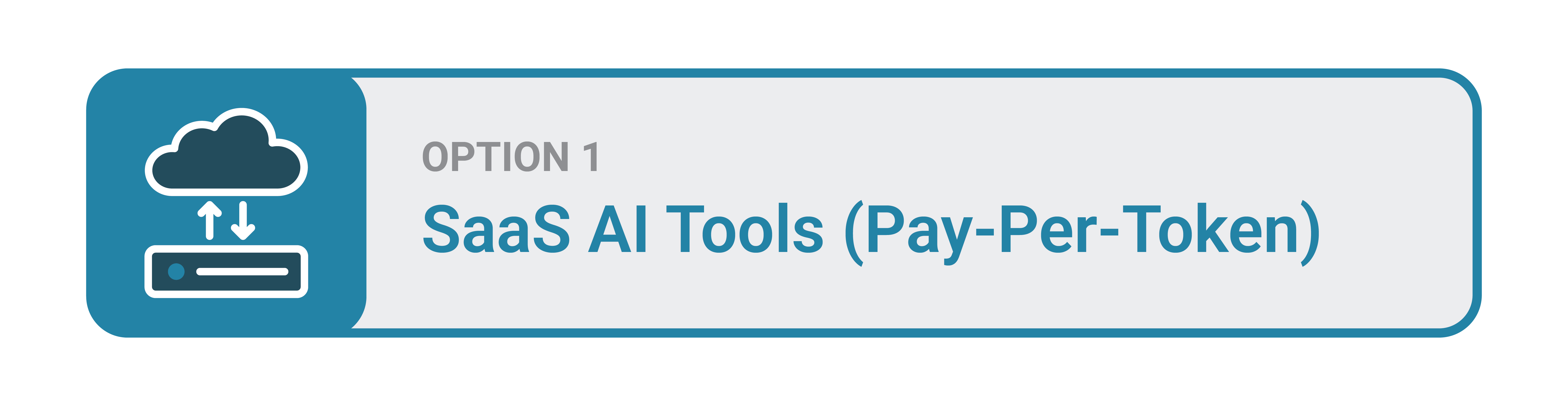Option 1: SaaS AI Tools (Pay-Per-Token)