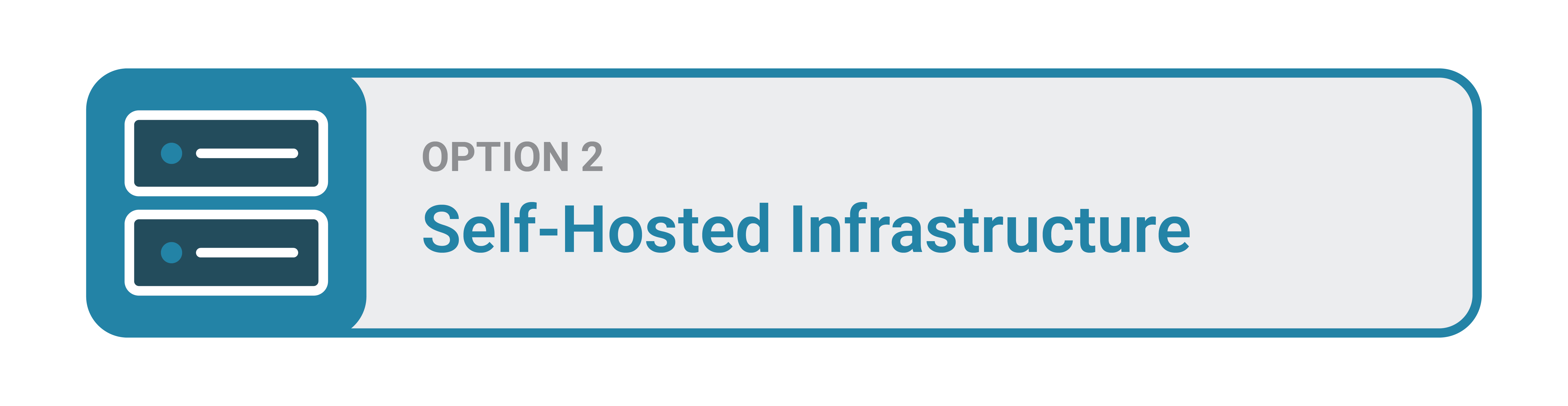 Option 2: Self-Hosted Infrastructure