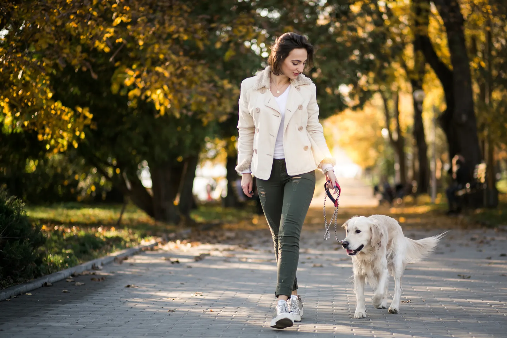 pet-Sitter qui promène un chien 