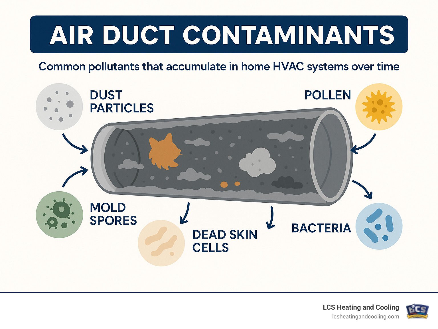 Detailed infographic showing common air duct contaminants including dust particles, pet dander, pollen, mold spores, bacteria, dead skin cells, and debris that accumulate in home HVAC systems over time - air duct cleaners Indianapolis infographic 