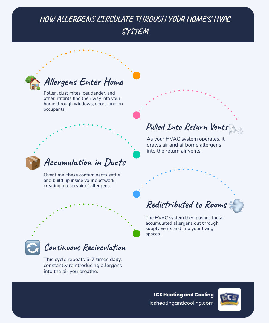 Infographic showing how allergens enter a home through windows and doors, get pulled into return air vents, accumulate in ductwork over time, and are redistributed through supply vents into living spaces 5-7 times per day via the HVAC system, with arrows indicating the circulation path and icons representing dust mites, pet dander, pollen, and mold spores - duct cleaning for allergies infographic infographic-line-5-steps-blues-accent_colors