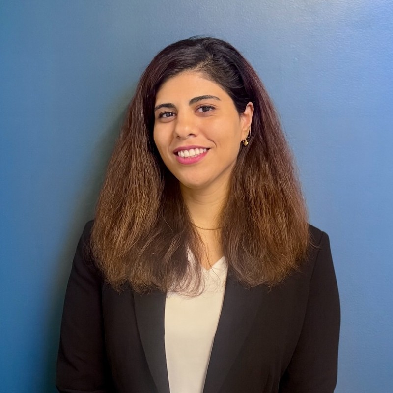 Pegah Karimbakhsh Asli