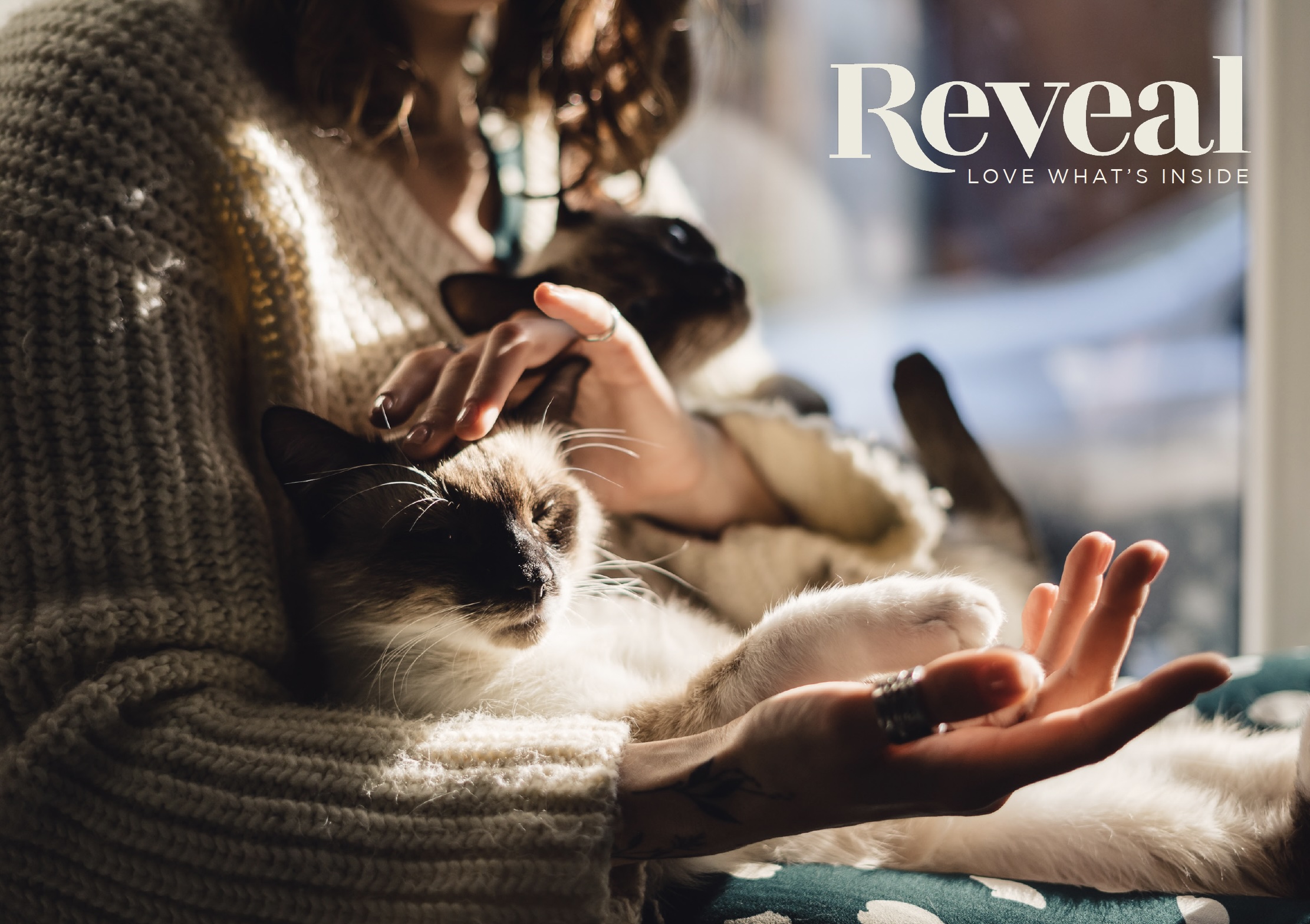 Love What's Inside