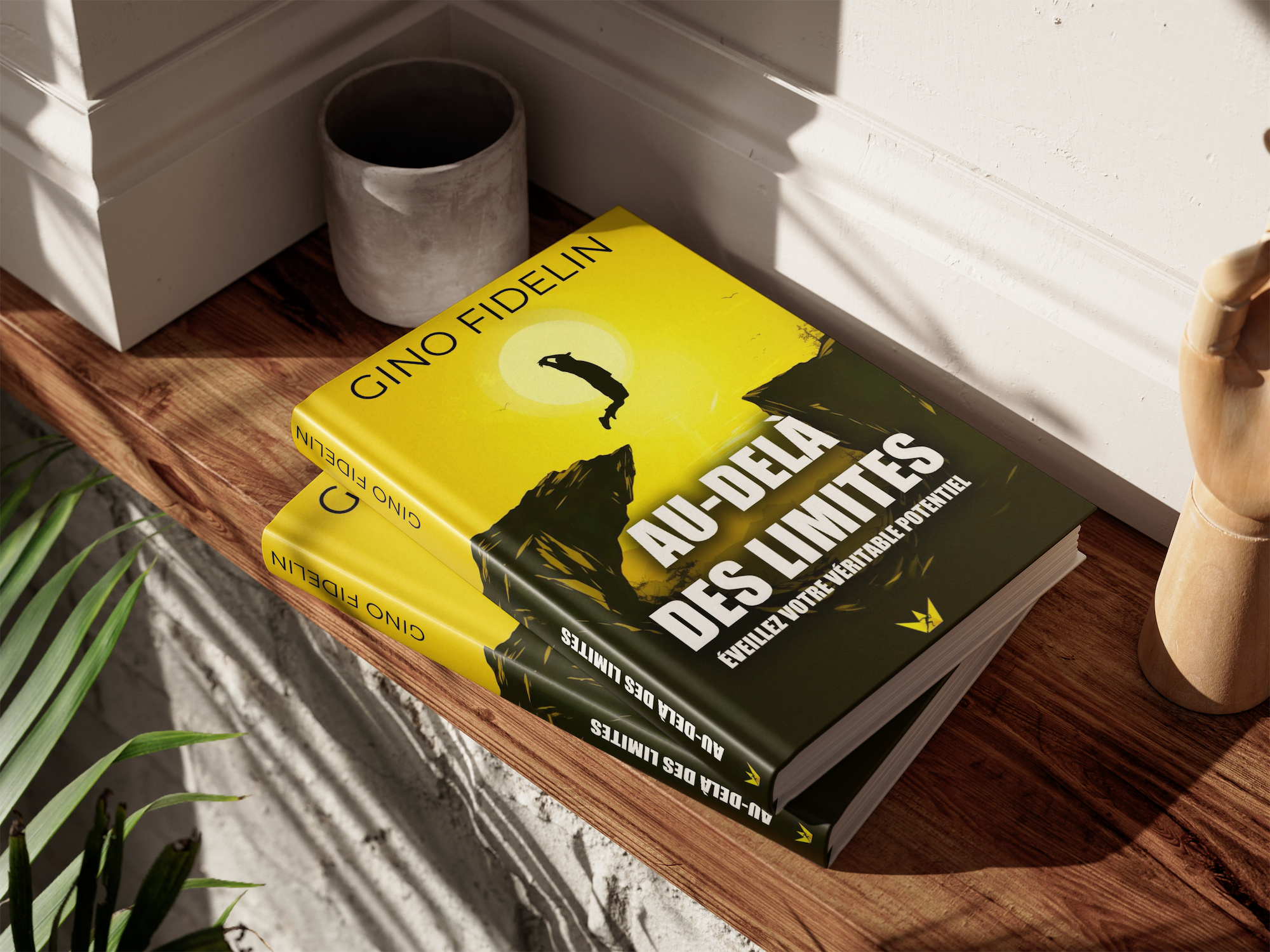 Livre Au-delà des limites de Gino Fidelin