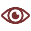Icon Auge