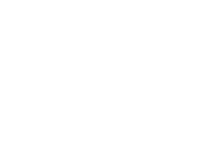 Dubai Polo & Equestrian Club Logo