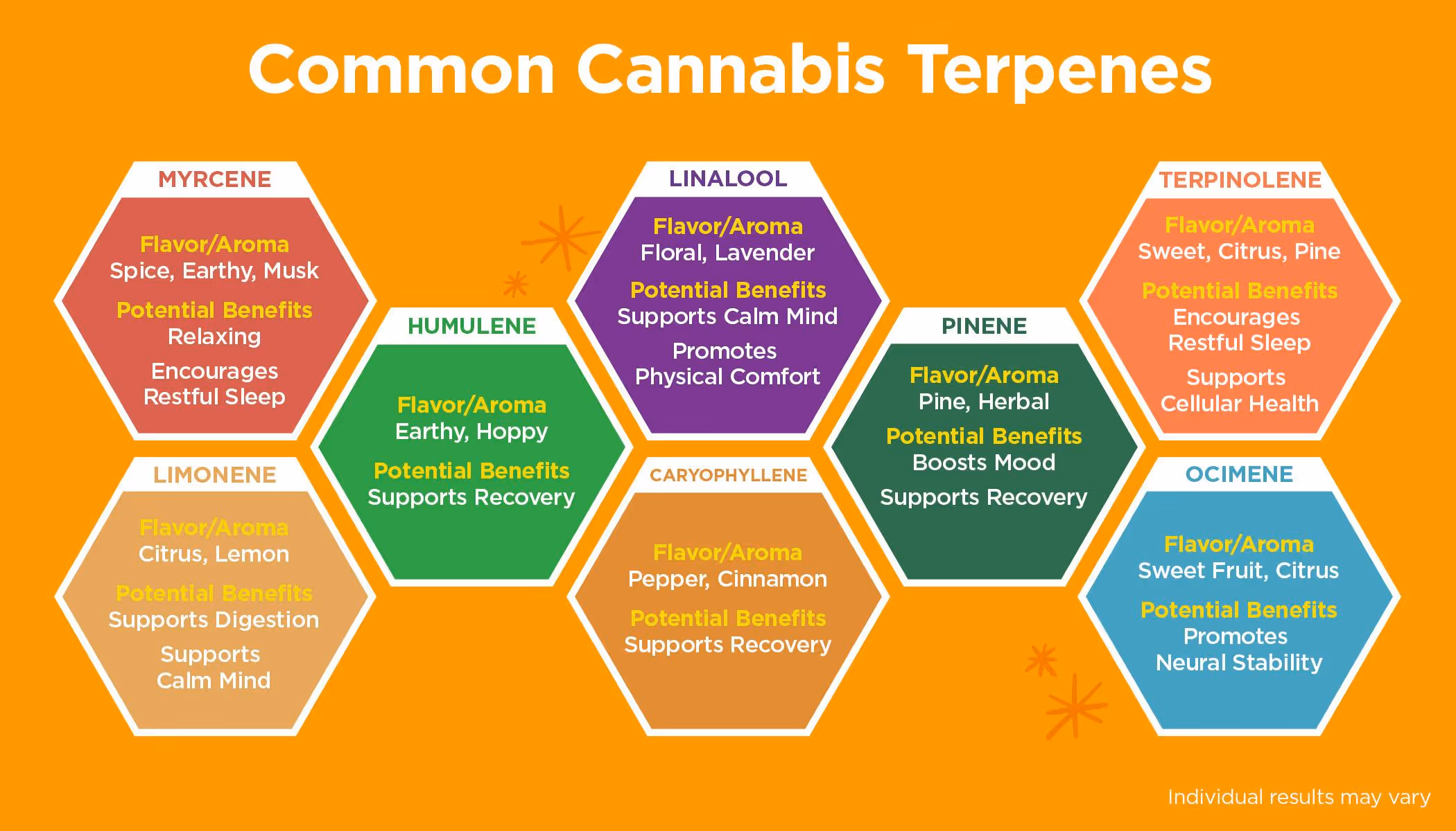 Was sind Terpene in Weed?