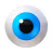 Eye ball