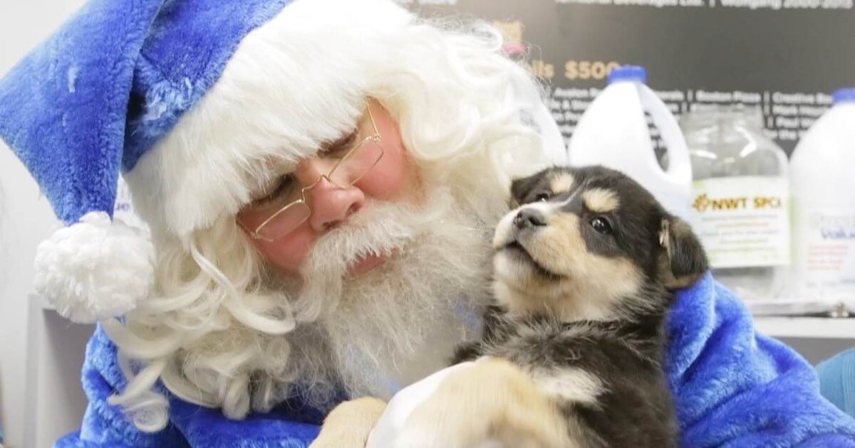 WestJet's Christmas Miracle video ad.