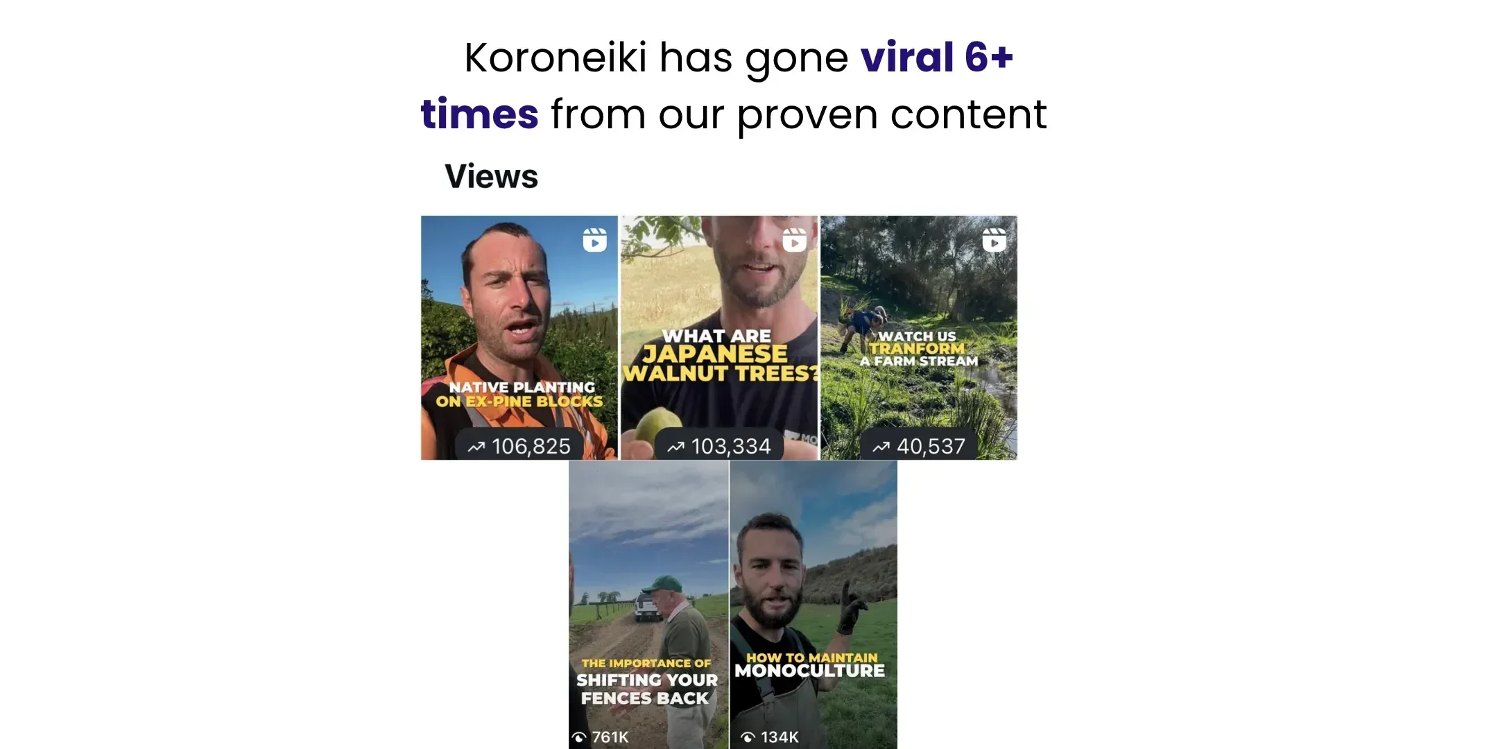 Koroneiki has gone viral many times, with Instagram reels from 40,000 to 761,000 views