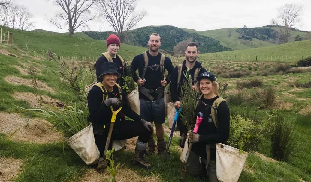 Matt, Antony and the Koroneiki planting crew on a hillside planting site
