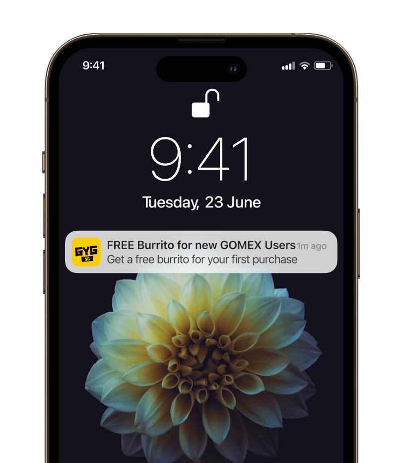 Cata app preview