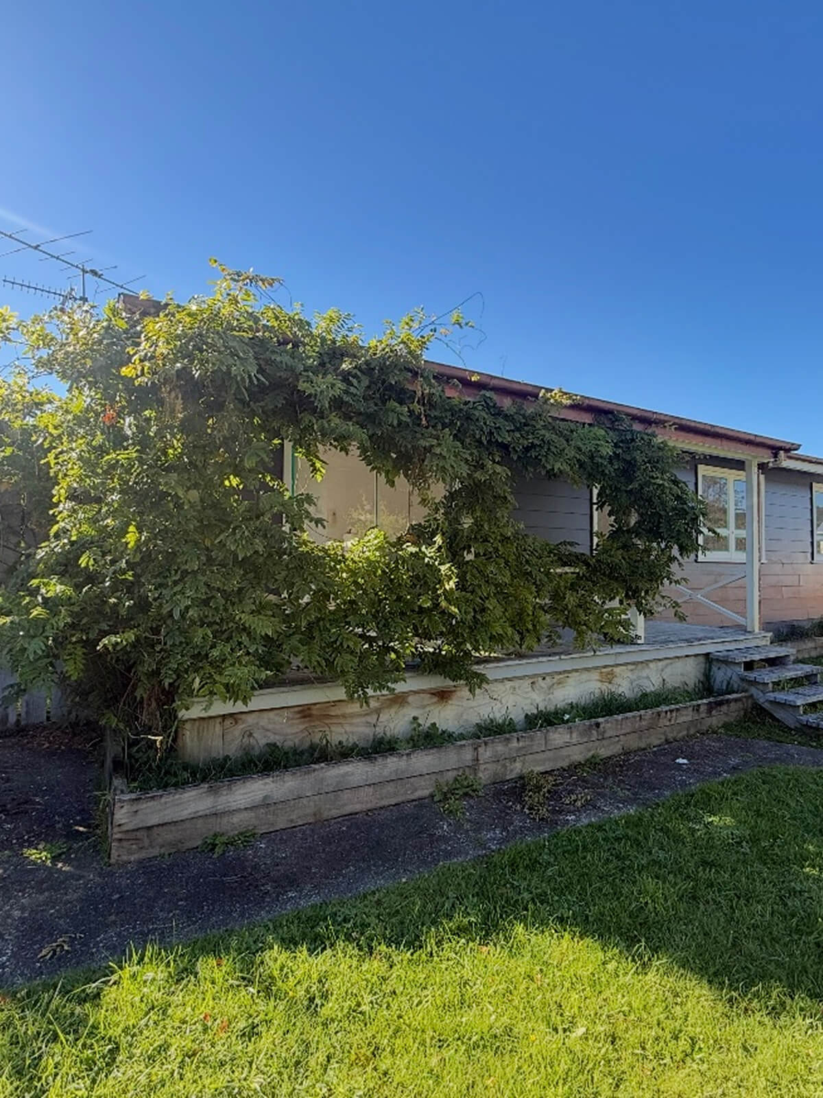 Tight site dirt removal Wellington