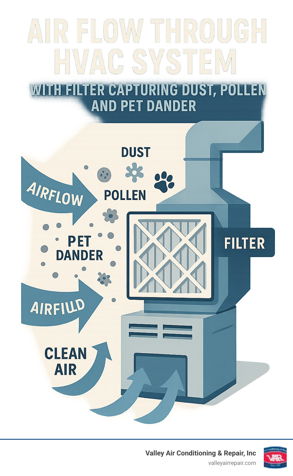 Infographic showing air flow through HVAC system with filter capturing dust, pollen, and pet dander while allowing clean air to circulate through home ducts and vents - AC filter replacement infographic 