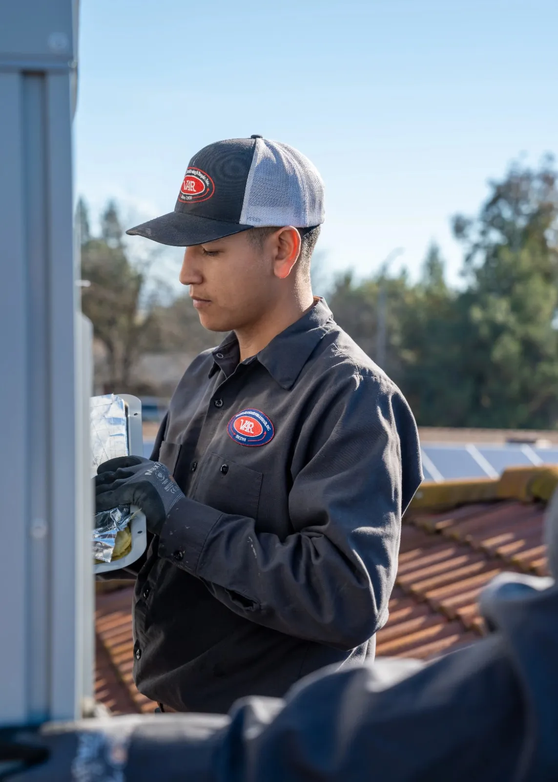 Please provide a query for this image. For example, you could ask me to generate a caption or alt text, or ask a question about the image's content