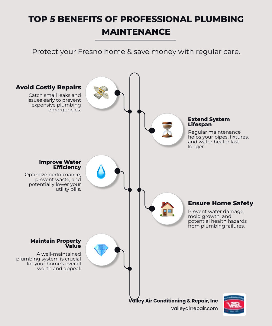 infographic explaining the top 5 benefits of professional plumbing maintenance - affordable plumbing in fresno, ca infographic infographic-line-5-steps-elegant_beige