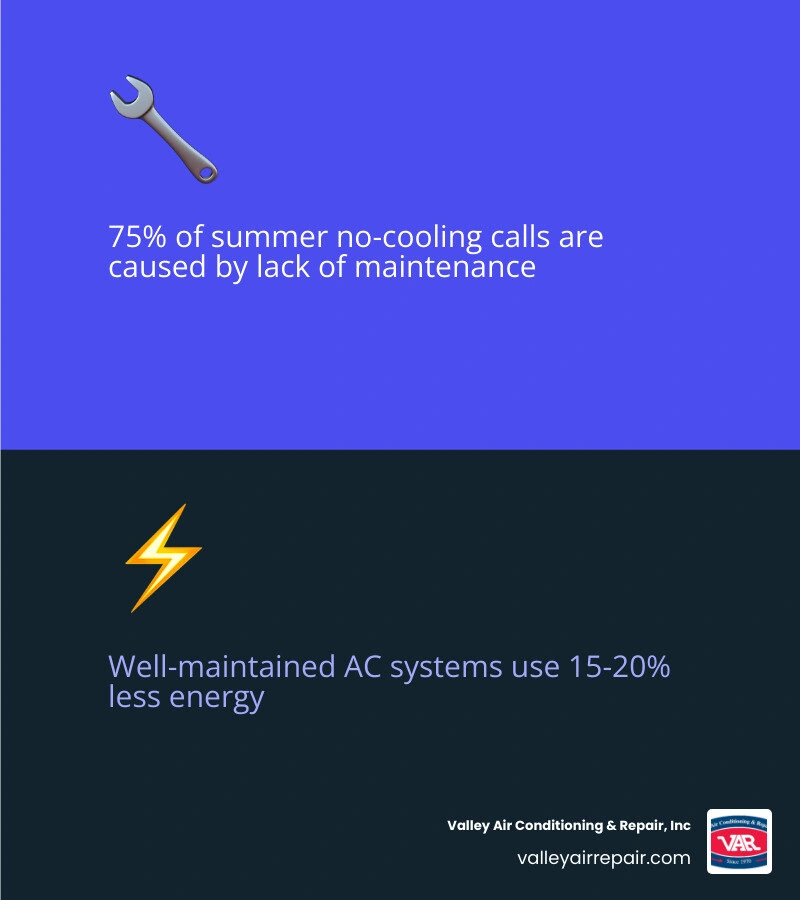 Spring AC maintenance checklist infographic showing 15-20% energy savings from a well-maintained system - what your