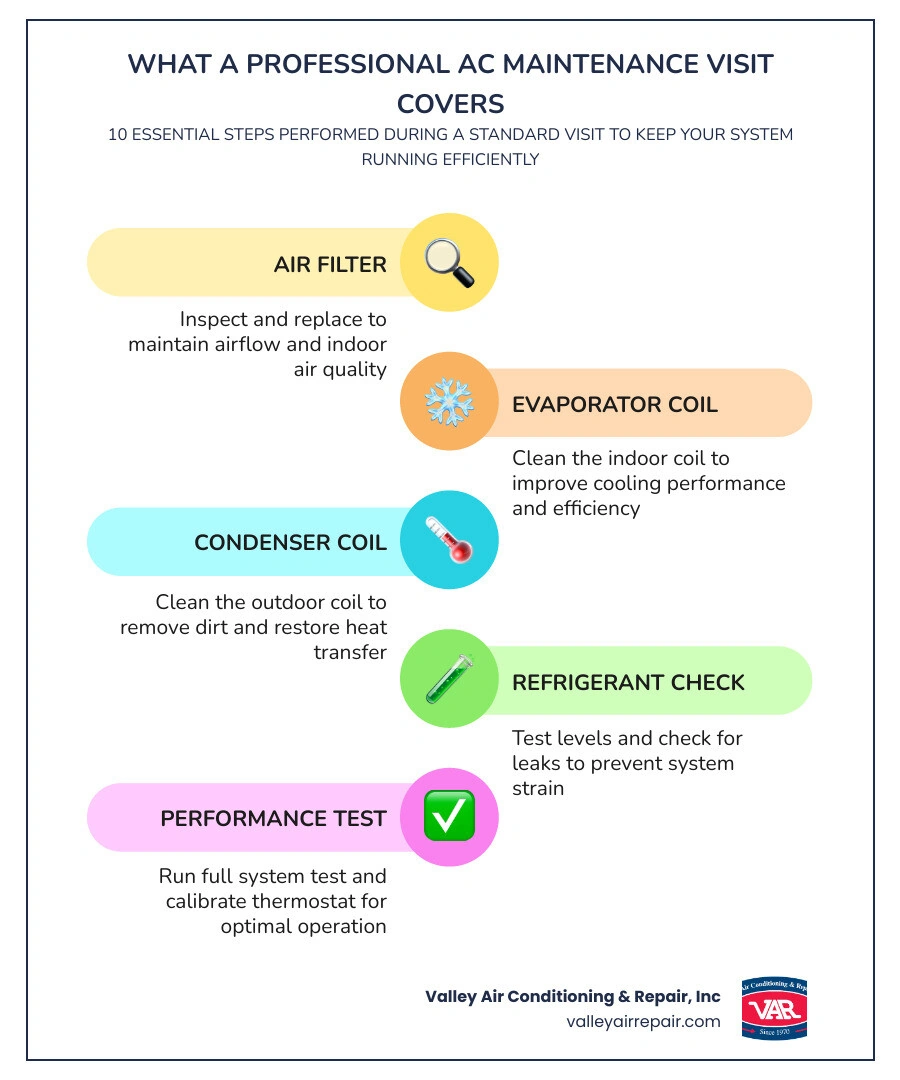 Infographic showing the 10 key steps of a professional AC maintenance visit and their benefits infographic Infographic showing the 10 key steps of a professional AC maintenance visit and their benefits infographic
