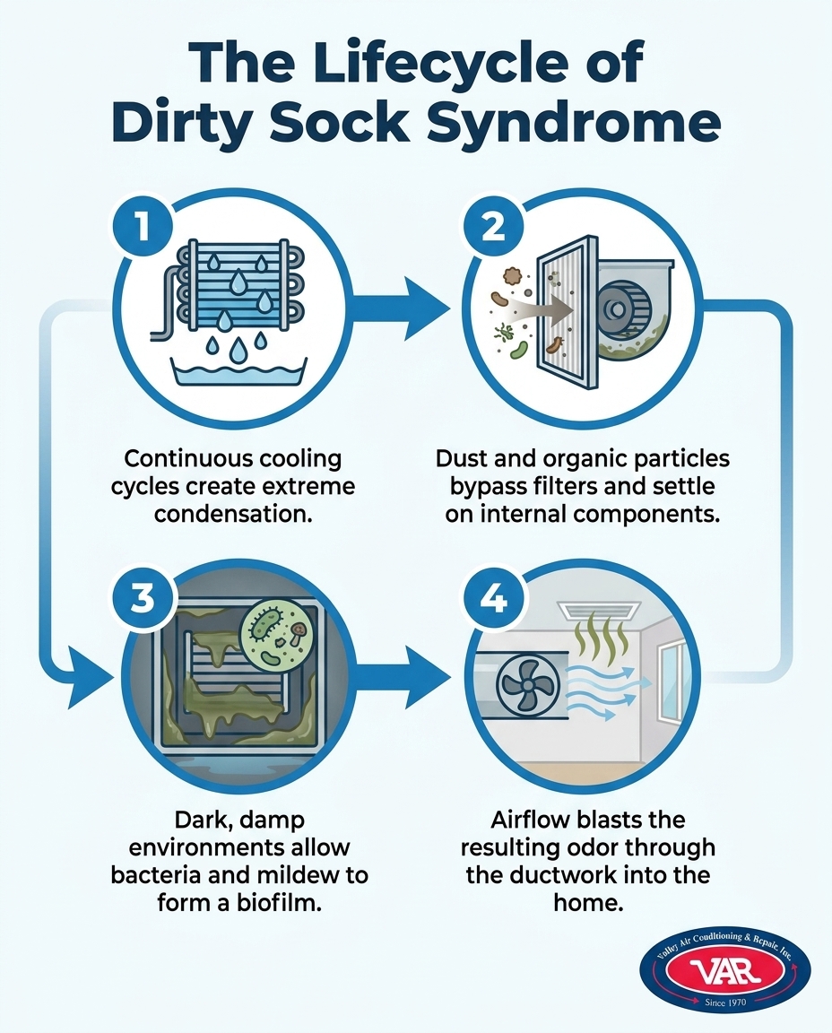 The Lifecycle of Dirty Sock Syndrome
