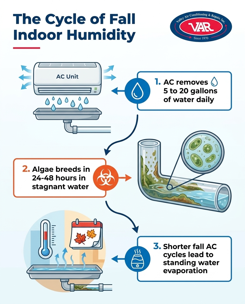 The Cycle of Fall Indoor Humidity